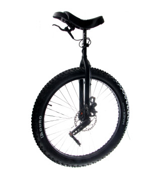 29" Mad4One Muni Tecno - ISIS – EXPRESS